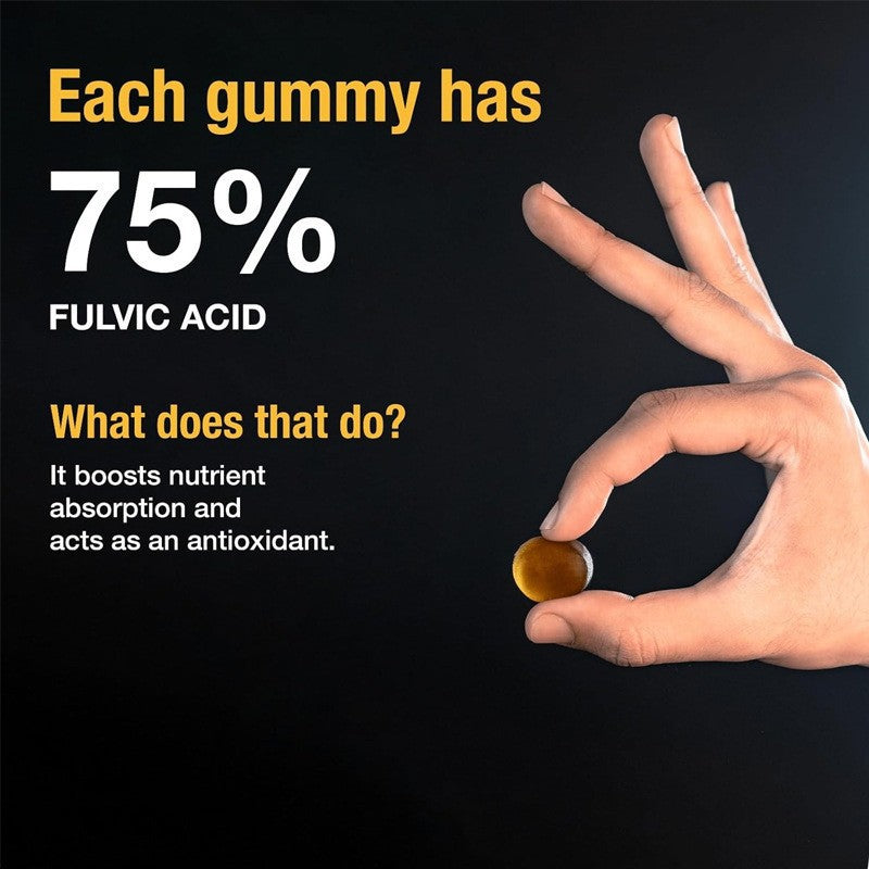 Himalayan Shilajit Gold Gummies 3000mg
