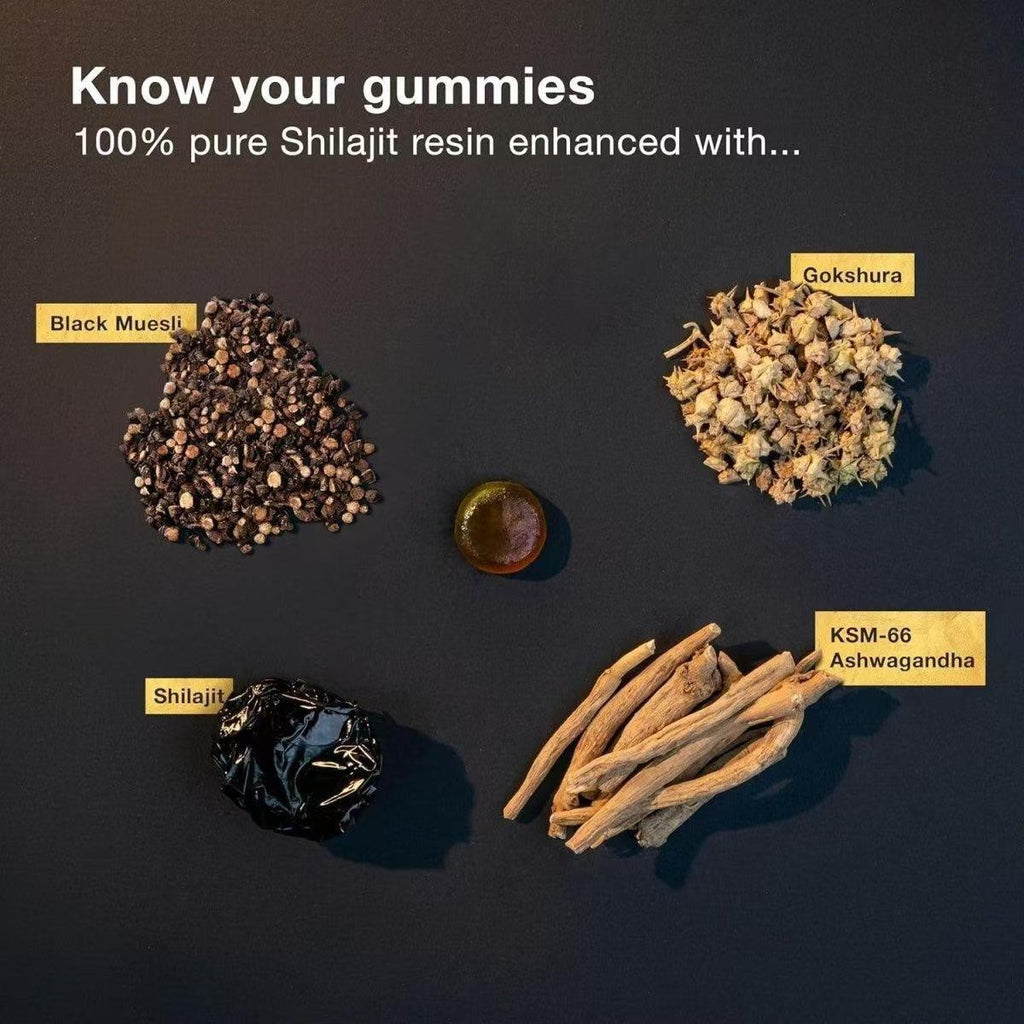 Himalayan Shilajit Gold Gummies 3000mg