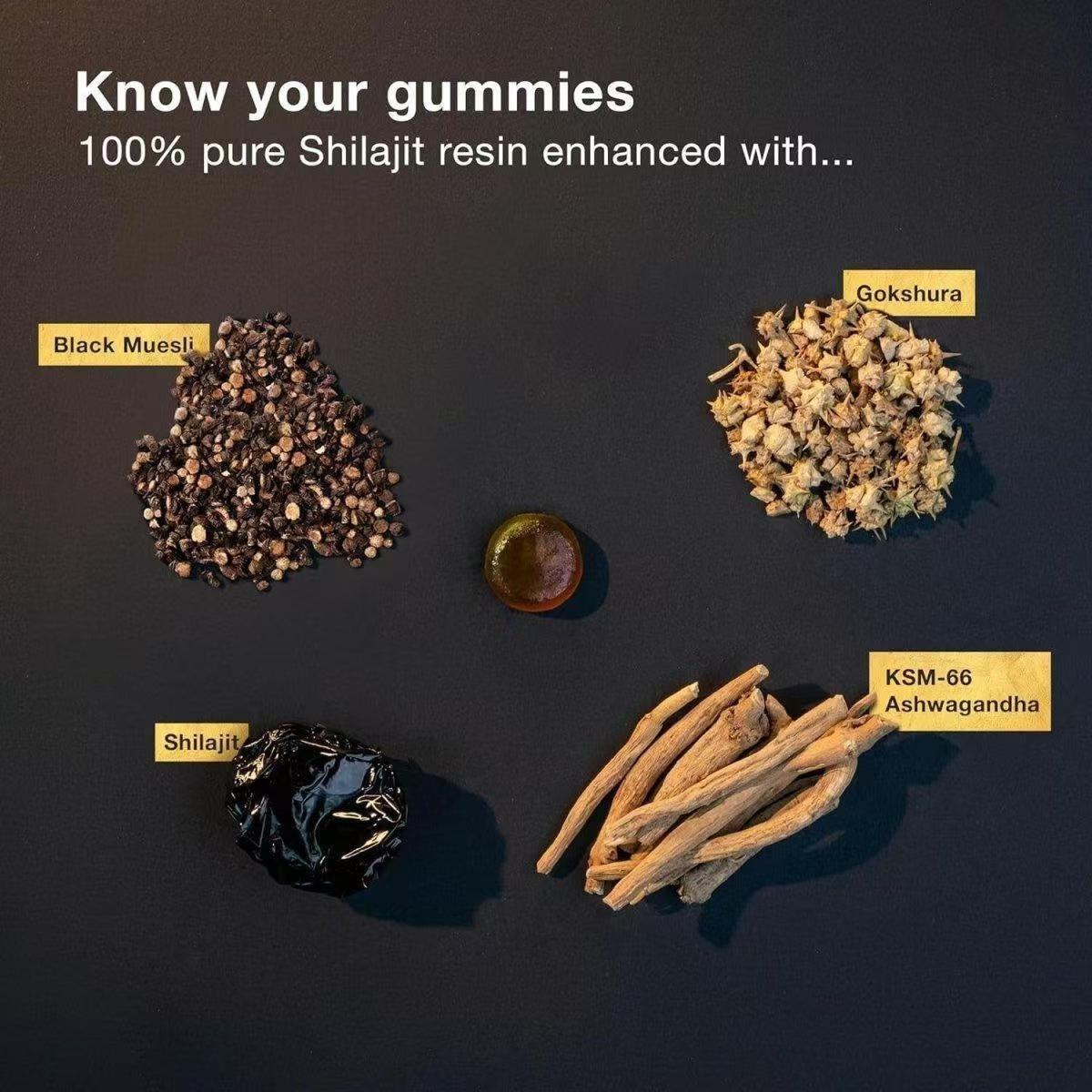Himalayan Shilajit Gold Gummies 3000mg