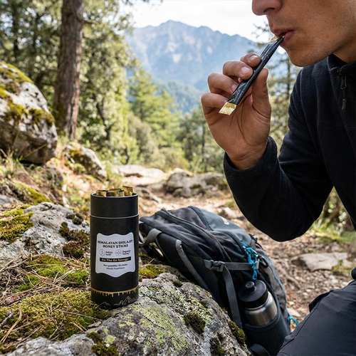 Saffron Shilajit Honey Wellness Sticks lifestyle